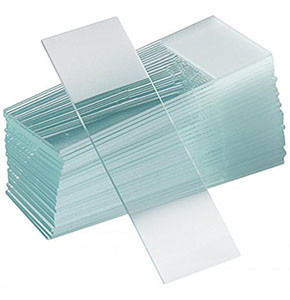 Microscope Slides