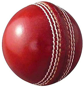 Cricket Ball Leather Australia