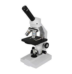 Microscope Student