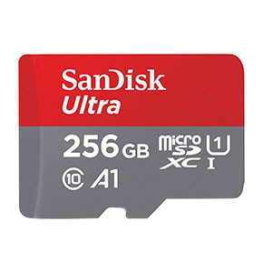 SanDisk ultra micro DXC 256 GB