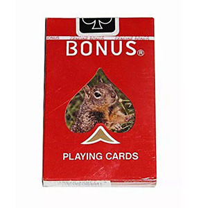 Playing Cards Bonus